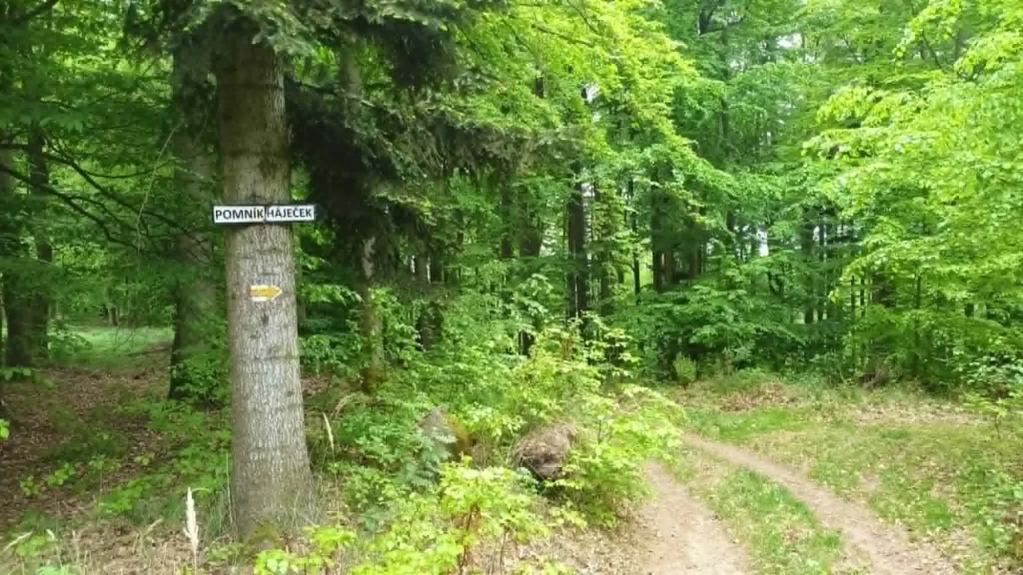 TIP NA VÝLET: Zbytky hradu Hoštejna, malebná krajina a údolí, ale i nezvyklá Cimrmanova otužovna