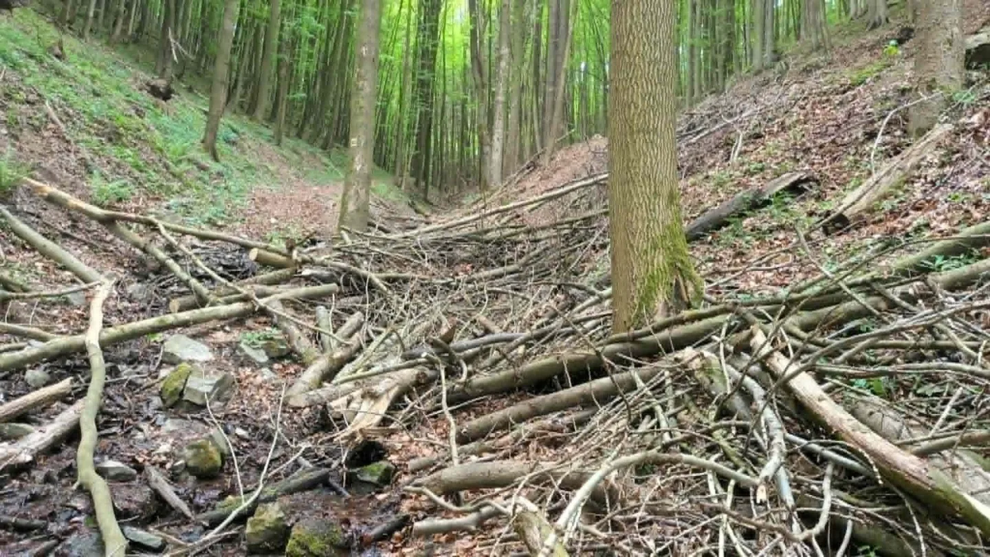 TIP NA VÝLET: Zbytky hradu Hoštejna, malebná krajina a údolí, ale i nezvyklá Cimrmanova otužovna