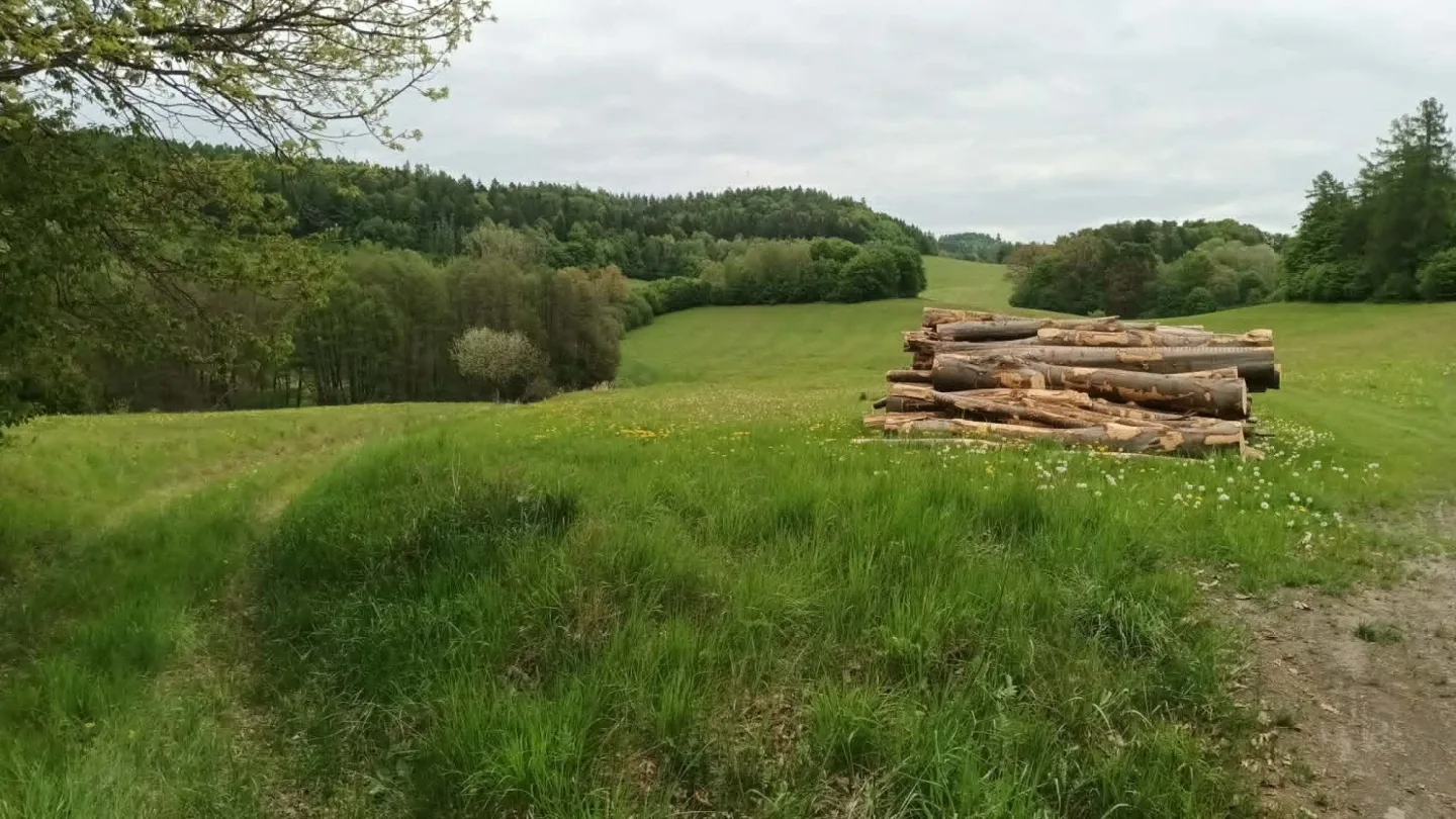 TIP NA VÝLET: Zbytky hradu Hoštejna, malebná krajina a údolí, ale i nezvyklá Cimrmanova otužovna