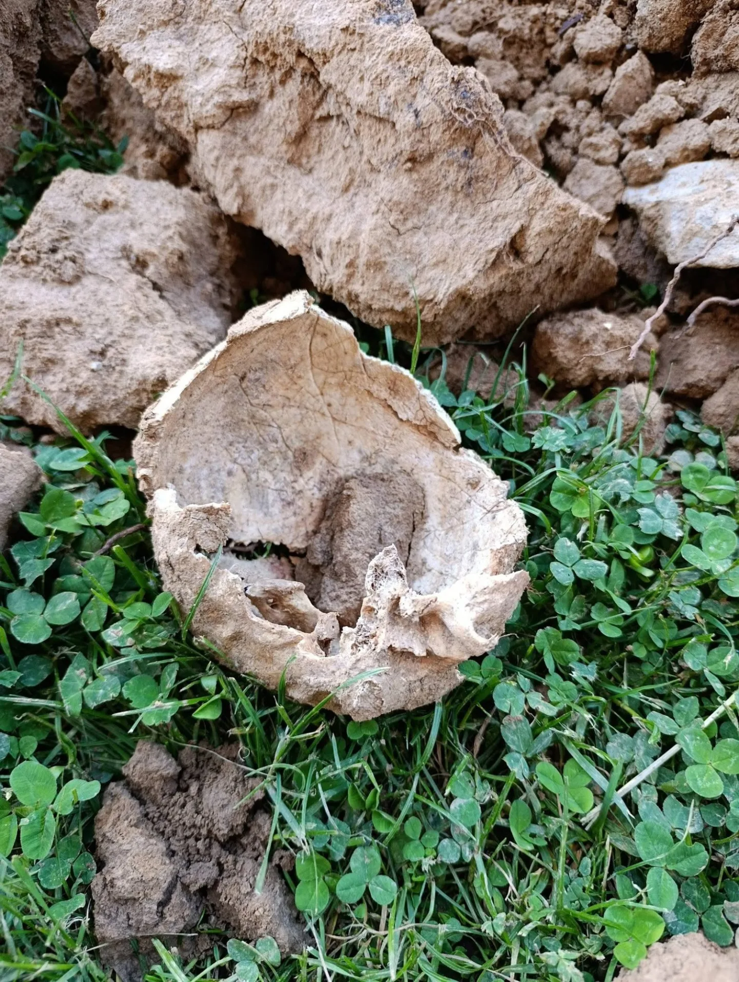 Dělníci při opravách hřbitova na Šumpersku vykopali lidské kosti. Pietu dodržíme, ubezpečuje firma