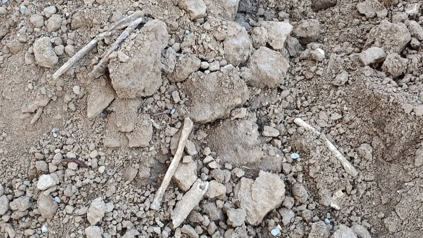 Dělníci při opravách hřbitova na Šumpersku vykopali lidské kosti. Pietu dodržíme, ubezpečuje firma