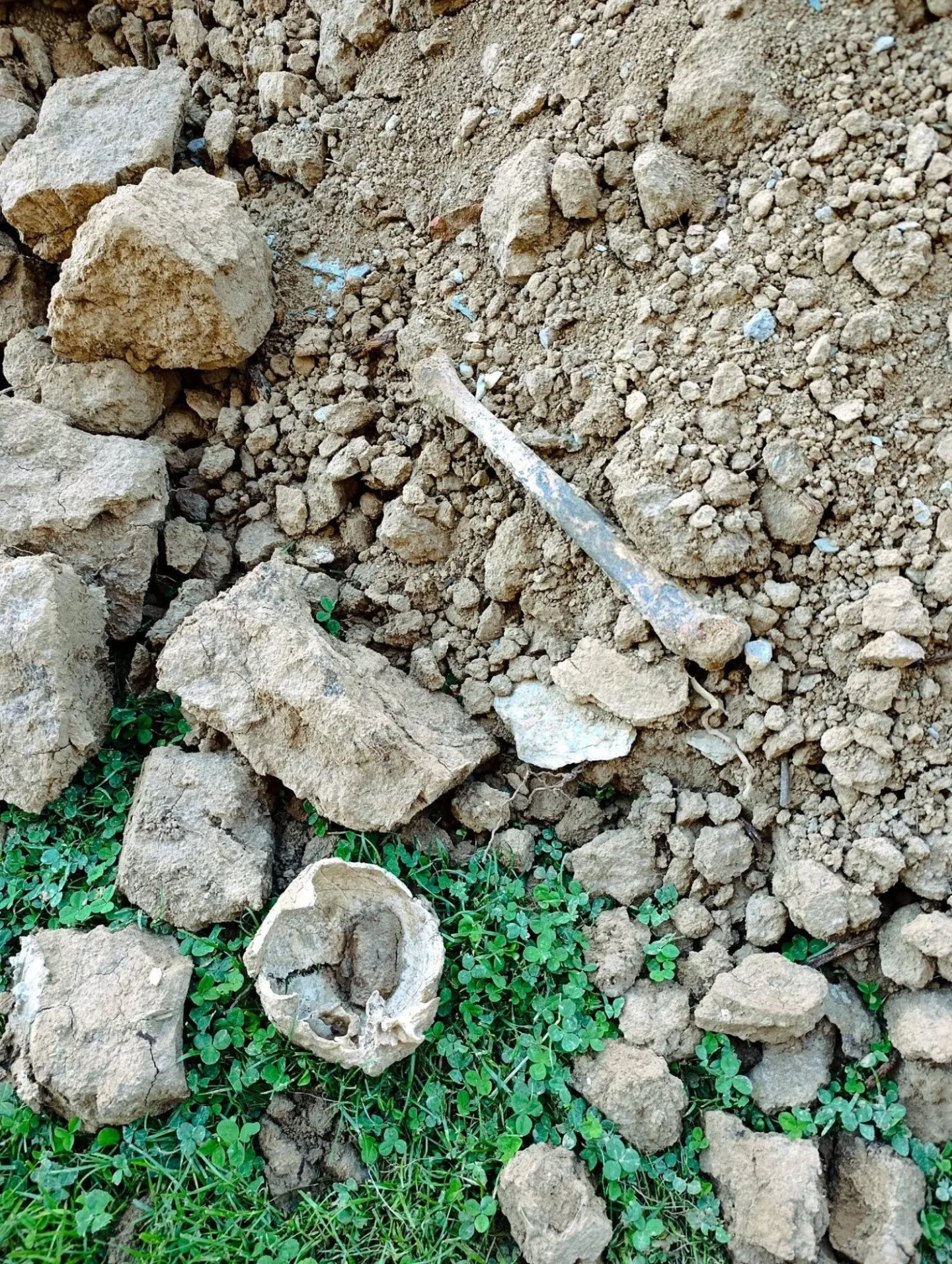 Dělníci při opravách hřbitova na Šumpersku vykopali lidské kosti. Pietu dodržíme, ubezpečuje firma