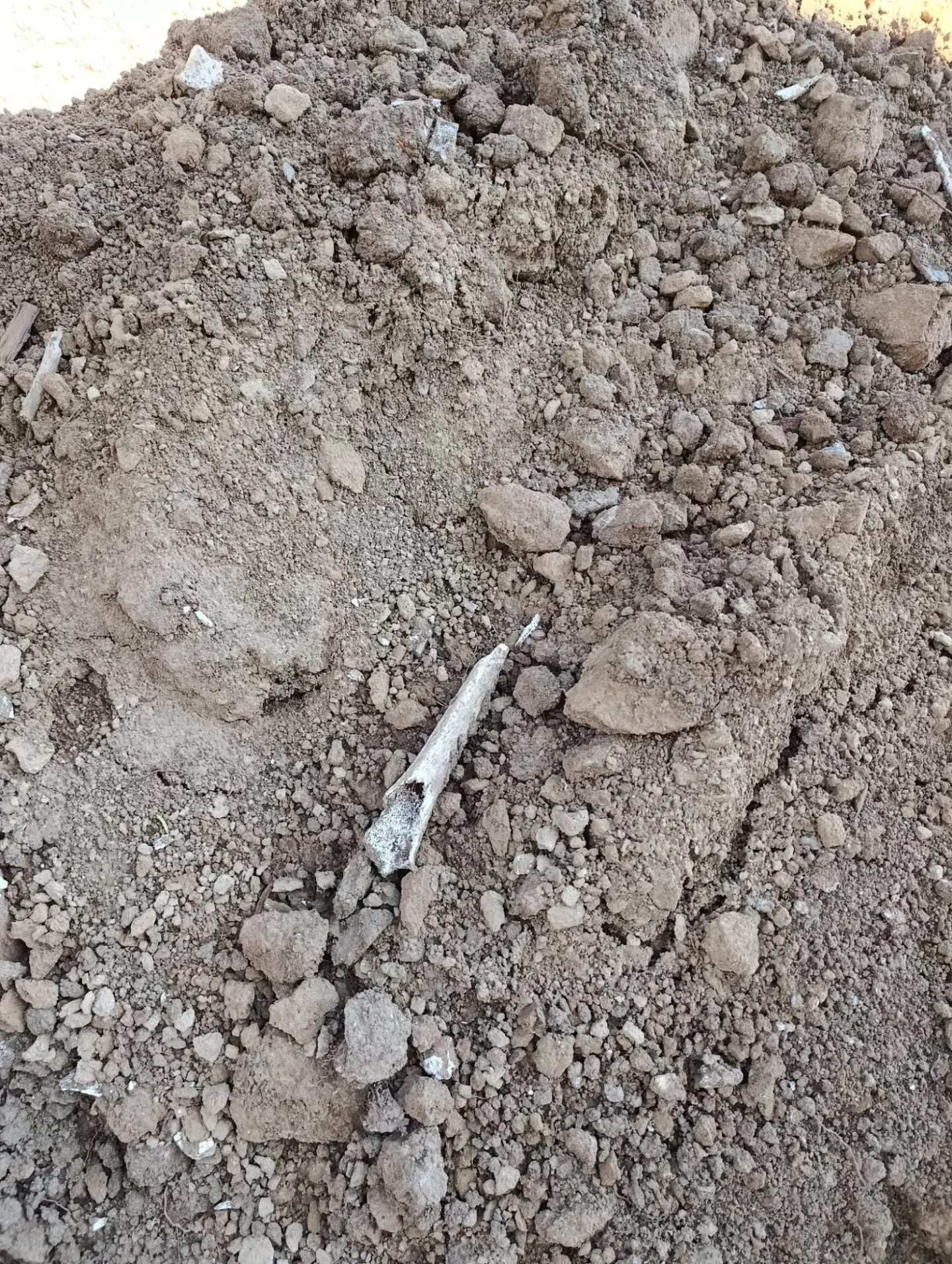 Dělníci při opravách hřbitova na Šumpersku vykopali lidské kosti. Pietu dodržíme, ubezpečuje firma