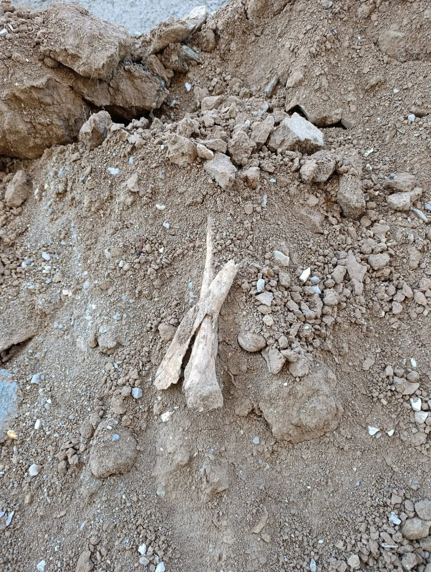 Dělníci při opravách hřbitova na Šumpersku vykopali lidské kosti. Pietu dodržíme, ubezpečuje firma