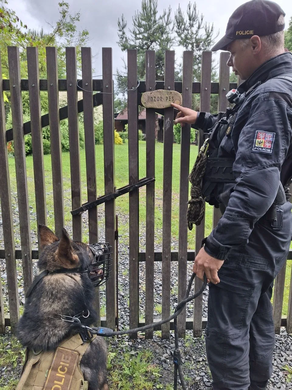 Tříměsíční policejní štěně poprvé v akci. Strážci zákona kontrolovali na Šumpersku chaty a chalupy