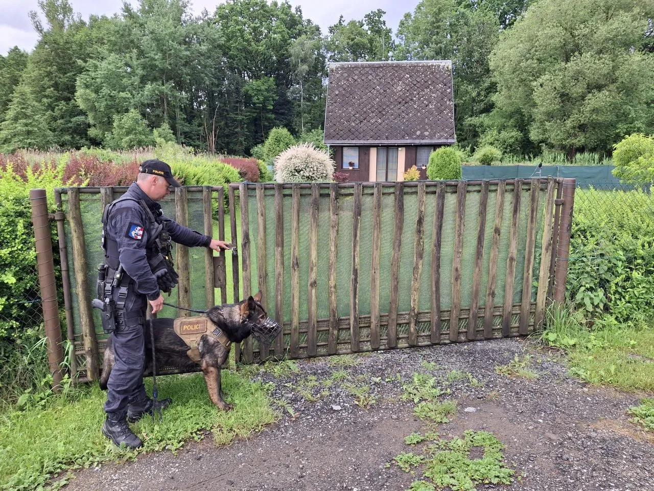 Tříměsíční policejní štěně poprvé v akci. Strážci zákona kontrolovali na Šumpersku chaty a chalupy