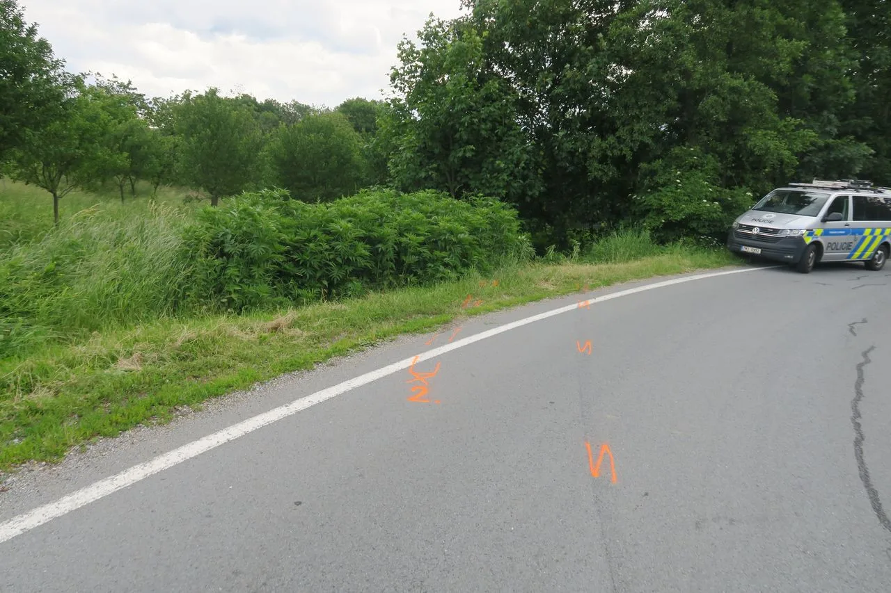 Auto převrácené v příkopu, srna nikde. Osmnáctiletý mladík na Šumpersku vyletěl ze silnice