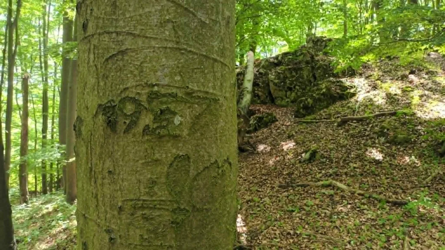 TIP NA VÝLET: Jeskyně Průchodnice u Ludmírova poskytne ochlazení a je opředená řadou legend