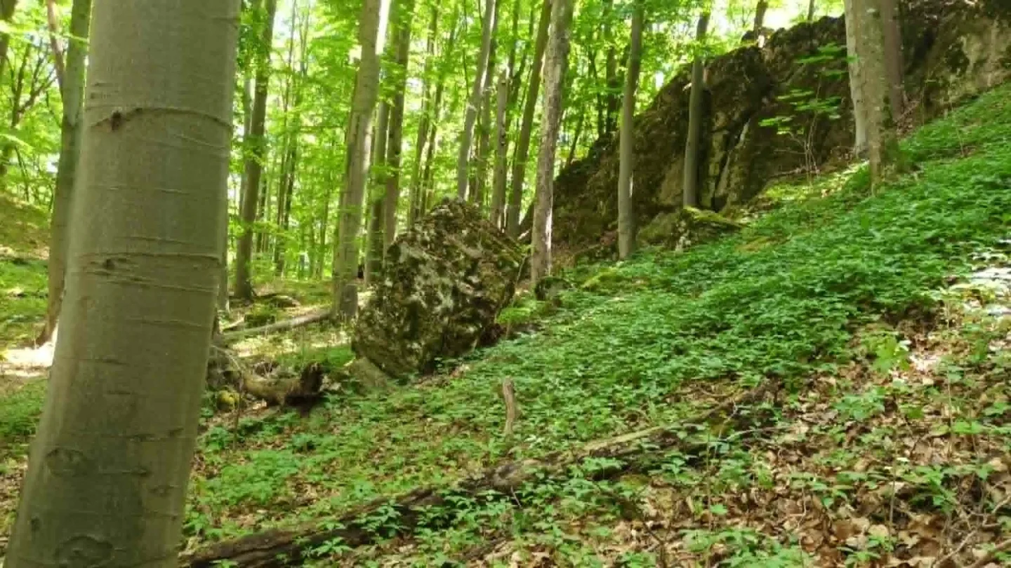 TIP NA VÝLET: Jeskyně Průchodnice u Ludmírova poskytne ochlazení a je opředená řadou legend