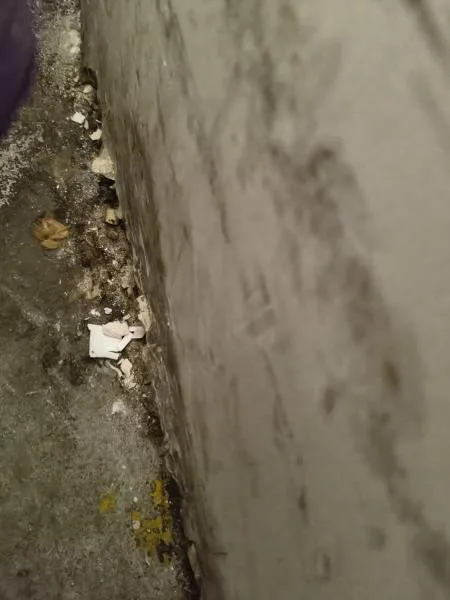 Inspektoři zavřeli oblíbené občerstvení v kempu Žralok na Plumlově. Kvůli hlodavcům a úklidu