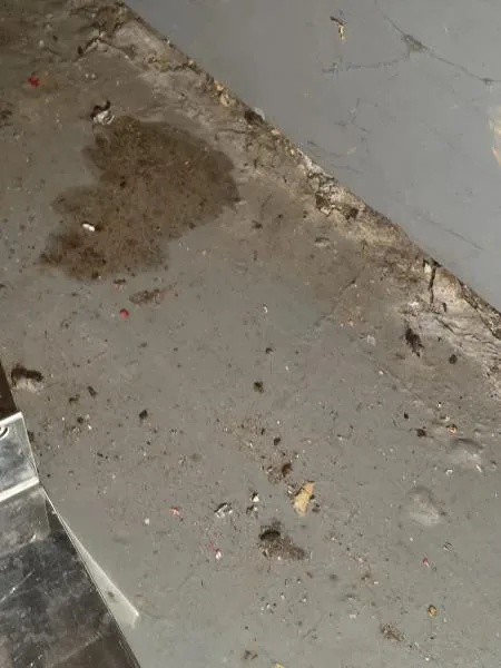 Inspektoři zavřeli oblíbené občerstvení v kempu Žralok na Plumlově. Kvůli hlodavcům a úklidu