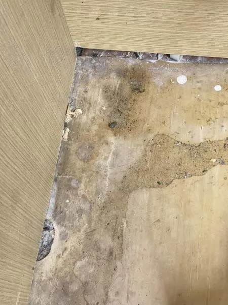 Inspektoři zavřeli oblíbené občerstvení v kempu Žralok na Plumlově. Kvůli hlodavcům a úklidu