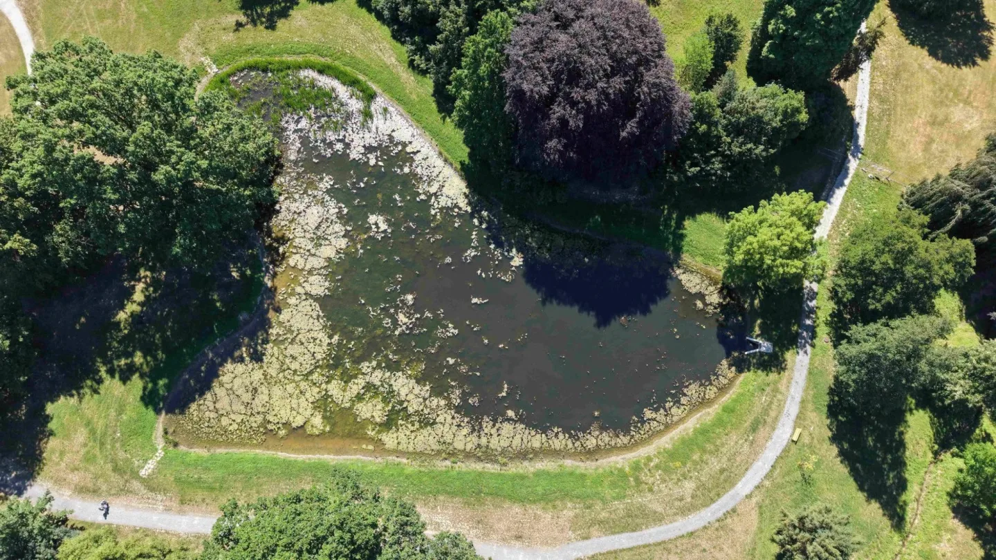 Lodičky a překvapení v Dračí jeskyni. Otevření revitalizovaného parku v Čechách pod Kosířem se blíží