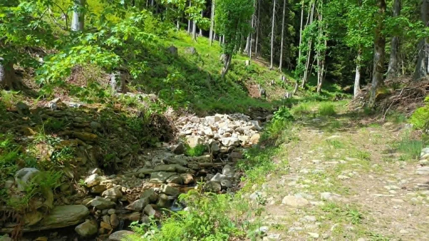 TIP NA VÝLET: Králický Sněžník dá zabrat, okouzlí i pobaví. Pramen Moravy ve vedrech osvěží