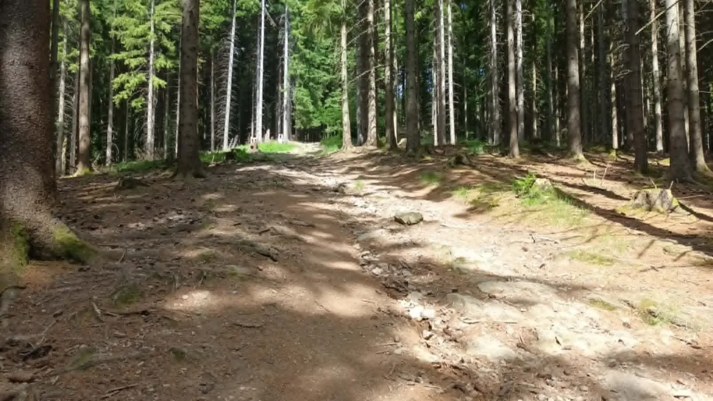 TIP NA VÝLET: Králický Sněžník dá zabrat, okouzlí i pobaví. Pramen Moravy ve vedrech osvěží