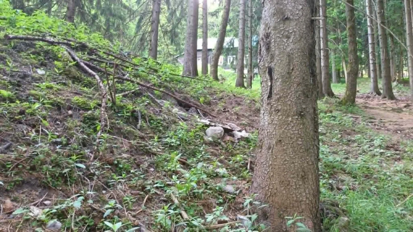 TIP NA VÝLET: Králický Sněžník dá zabrat, okouzlí i pobaví. Pramen Moravy ve vedrech osvěží