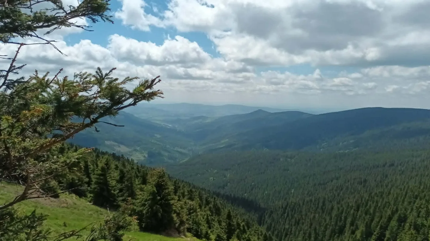 TIP NA VÝLET: Králický Sněžník dá zabrat, okouzlí i pobaví. Pramen Moravy ve vedrech osvěží
