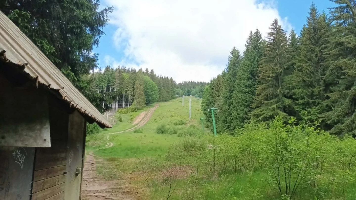 TIP NA VÝLET: Králický Sněžník dá zabrat, okouzlí i pobaví. Pramen Moravy ve vedrech osvěží