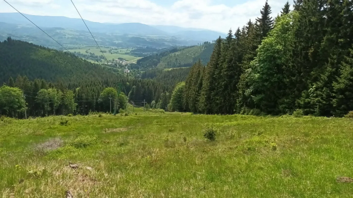 TIP NA VÝLET: Králický Sněžník dá zabrat, okouzlí i pobaví. Pramen Moravy ve vedrech osvěží