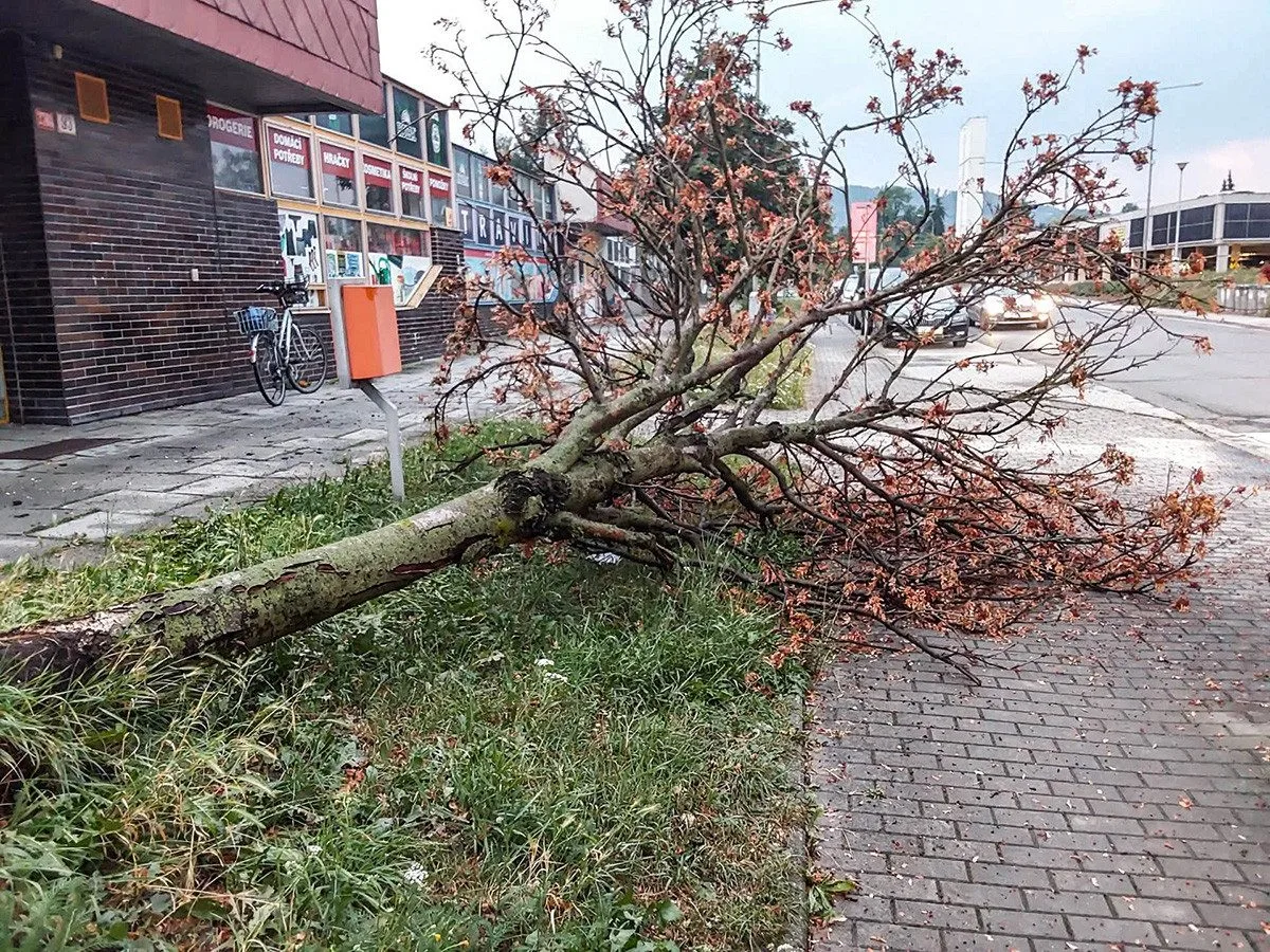 VIDEO: Kroupy i stržená fotovoltaika. Šumpersko zasáhla bouřková smršť