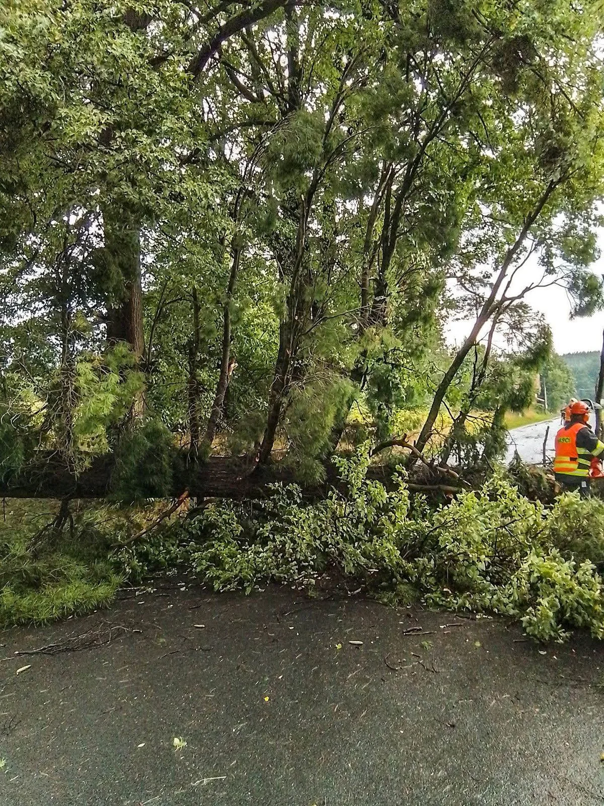 VIDEO: Kroupy i stržená fotovoltaika. Šumpersko zasáhla bouřková smršť