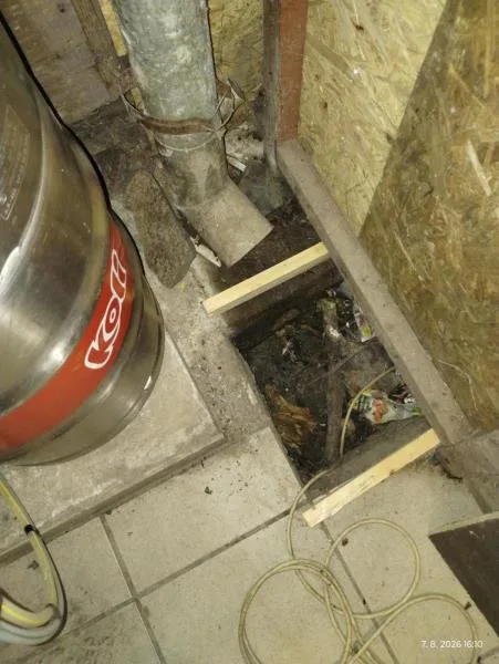 Inspekce zavřela známé občerstvení v Prostějově. Myši, špína, znečištěné toalety a zápach