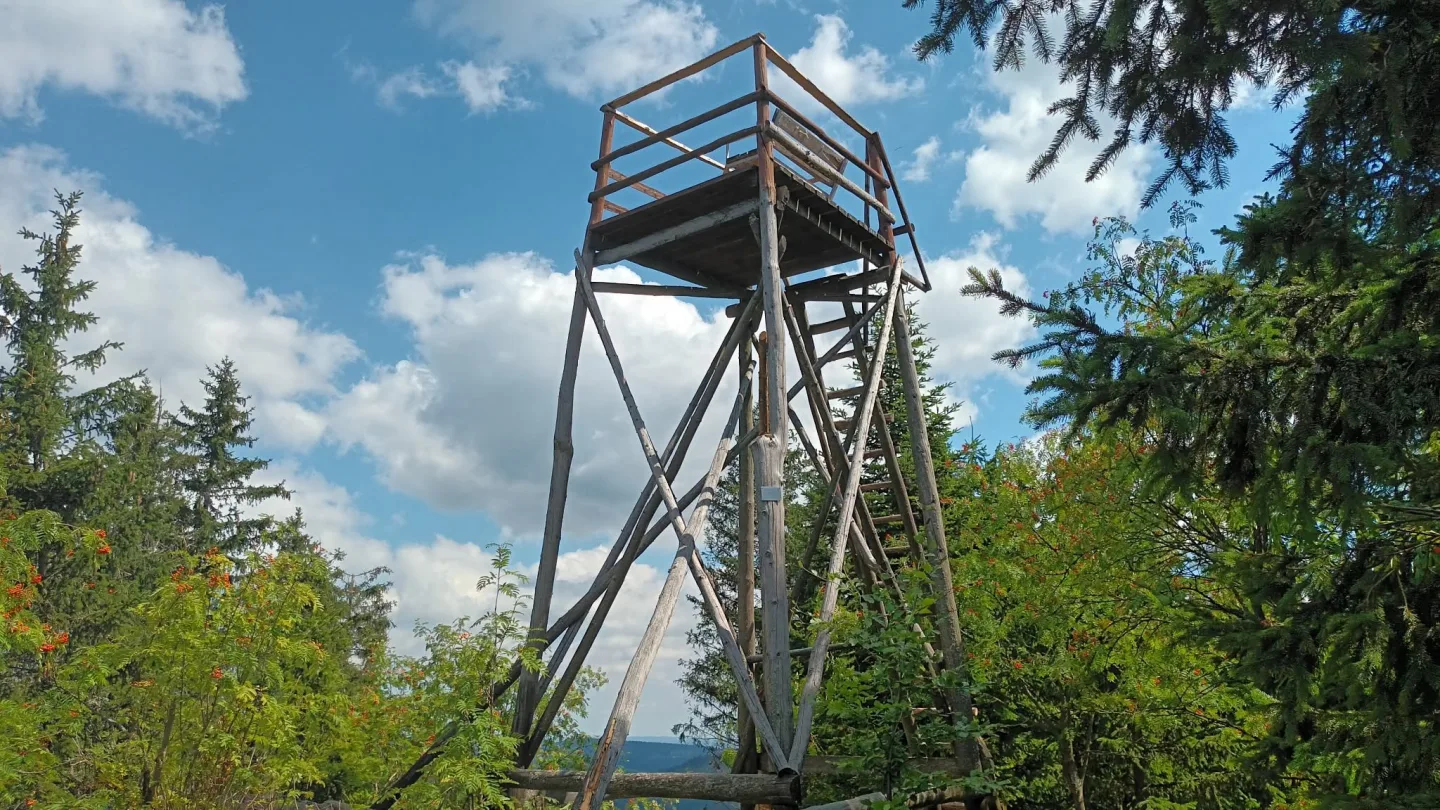 TIP NA VÝLET: Šplhání po skalách, lesy a výhledy. Výlet na Kamenný vrch u Šumperka