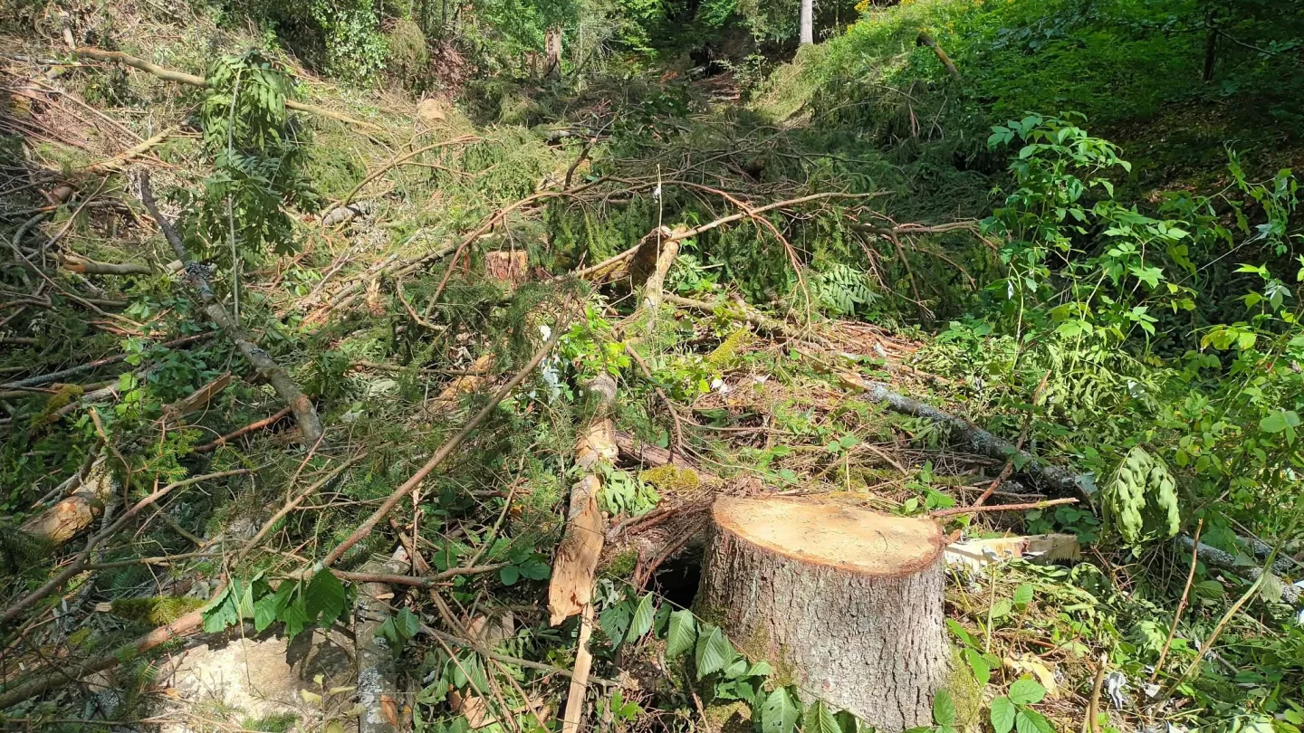 TIP NA VÝLET: Šplhání po skalách, lesy a výhledy. Výlet na Kamenný vrch u Šumperka