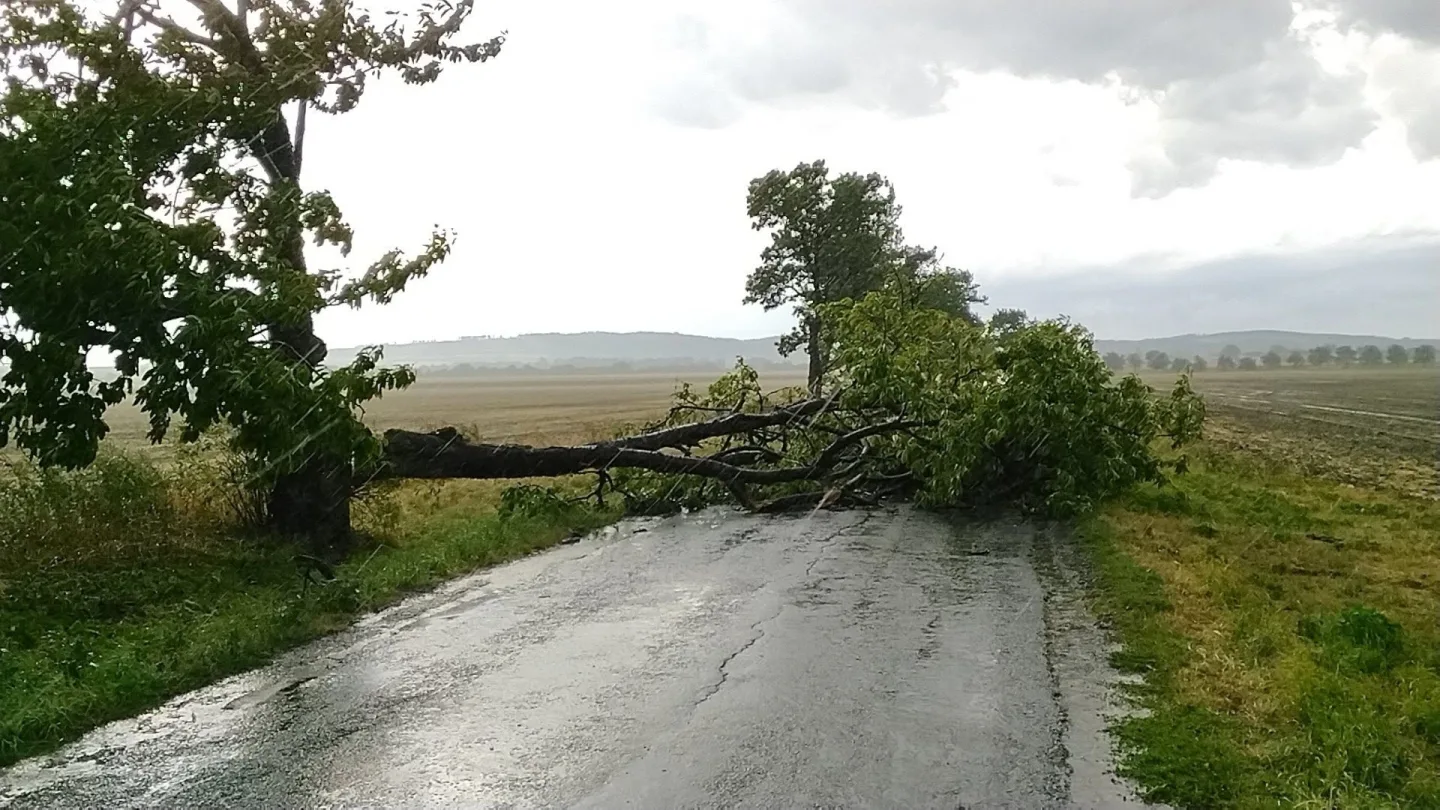 Spadlé stromy a větve. Hasiči mají v kraji kvůli bouřkám už čtyřicítku výjezdů