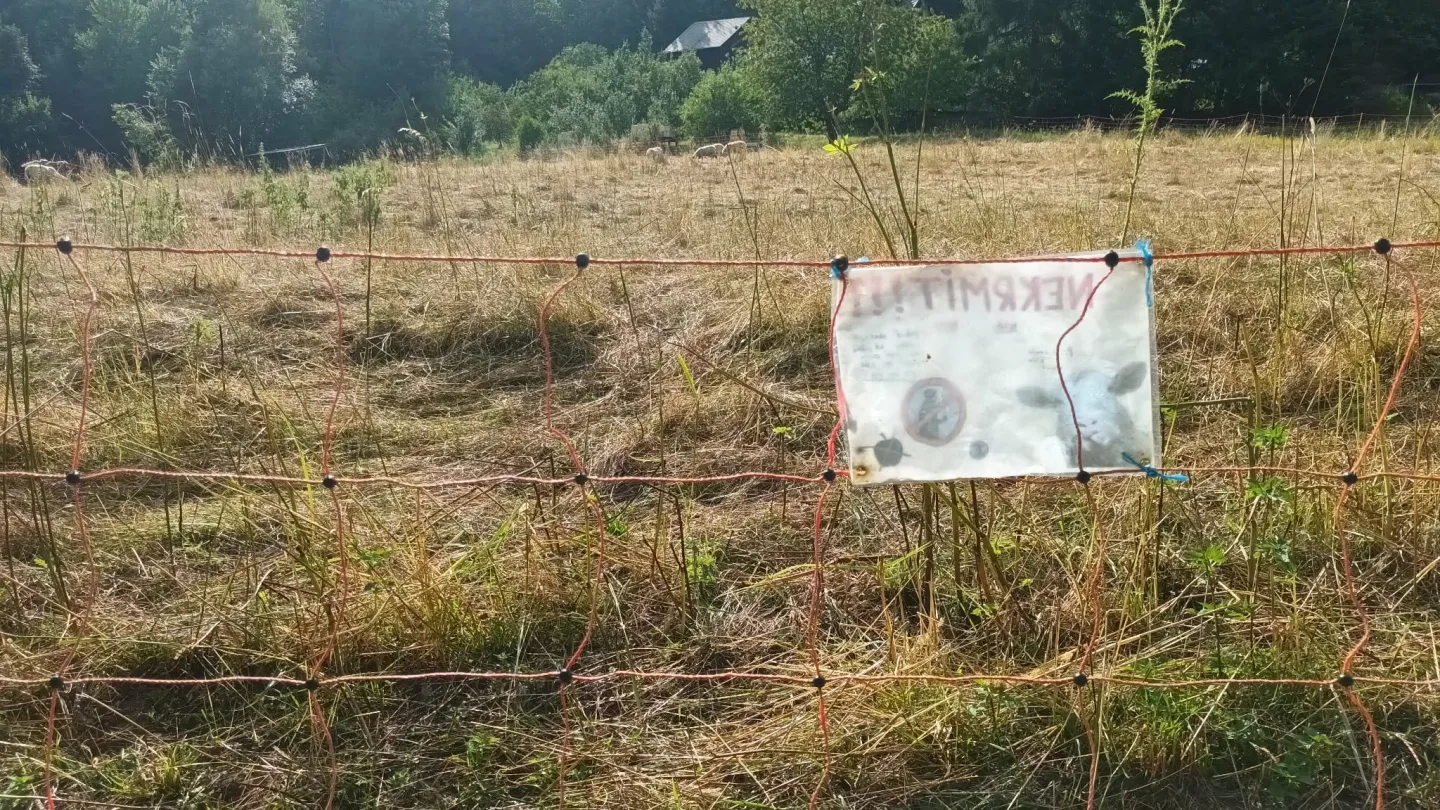 TIP NA VÝLET: Šplhání po skalách, lesy a výhledy. Výlet na Kamenný vrch u Šumperka