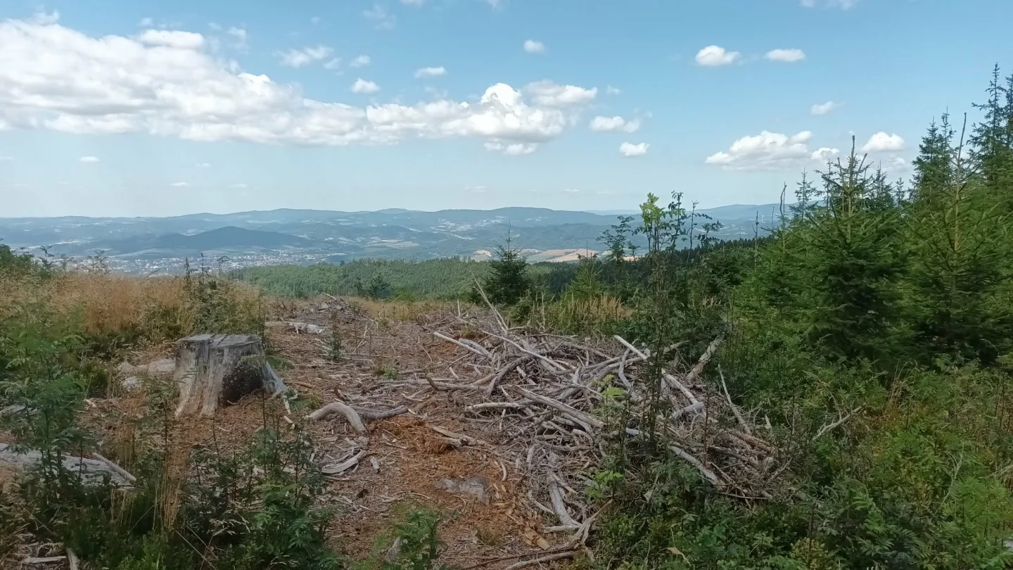 TIP NA VÝLET: Šplhání po skalách, lesy a výhledy. Výlet na Kamenný vrch u Šumperka