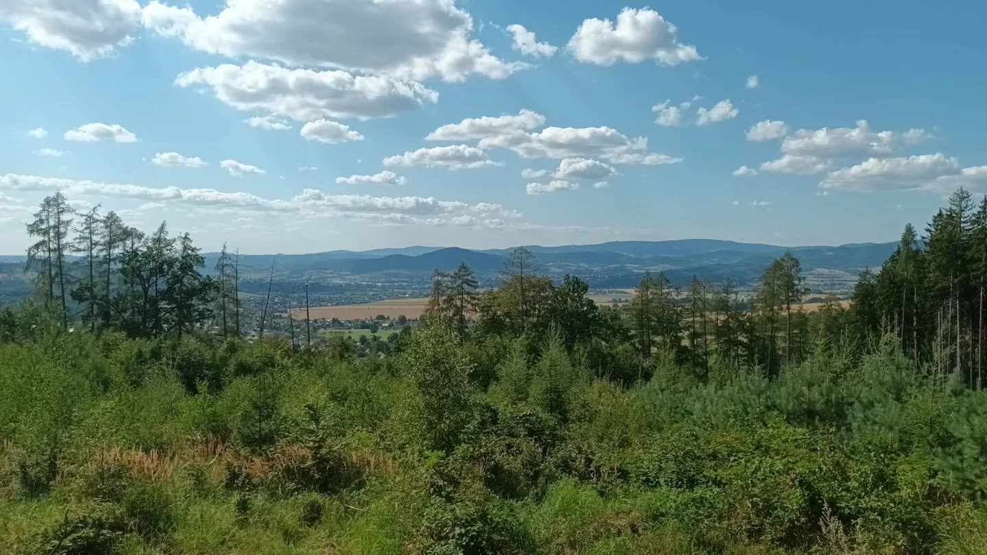 TIP NA VÝLET: Šplhání po skalách, lesy a výhledy. Výlet na Kamenný vrch u Šumperka