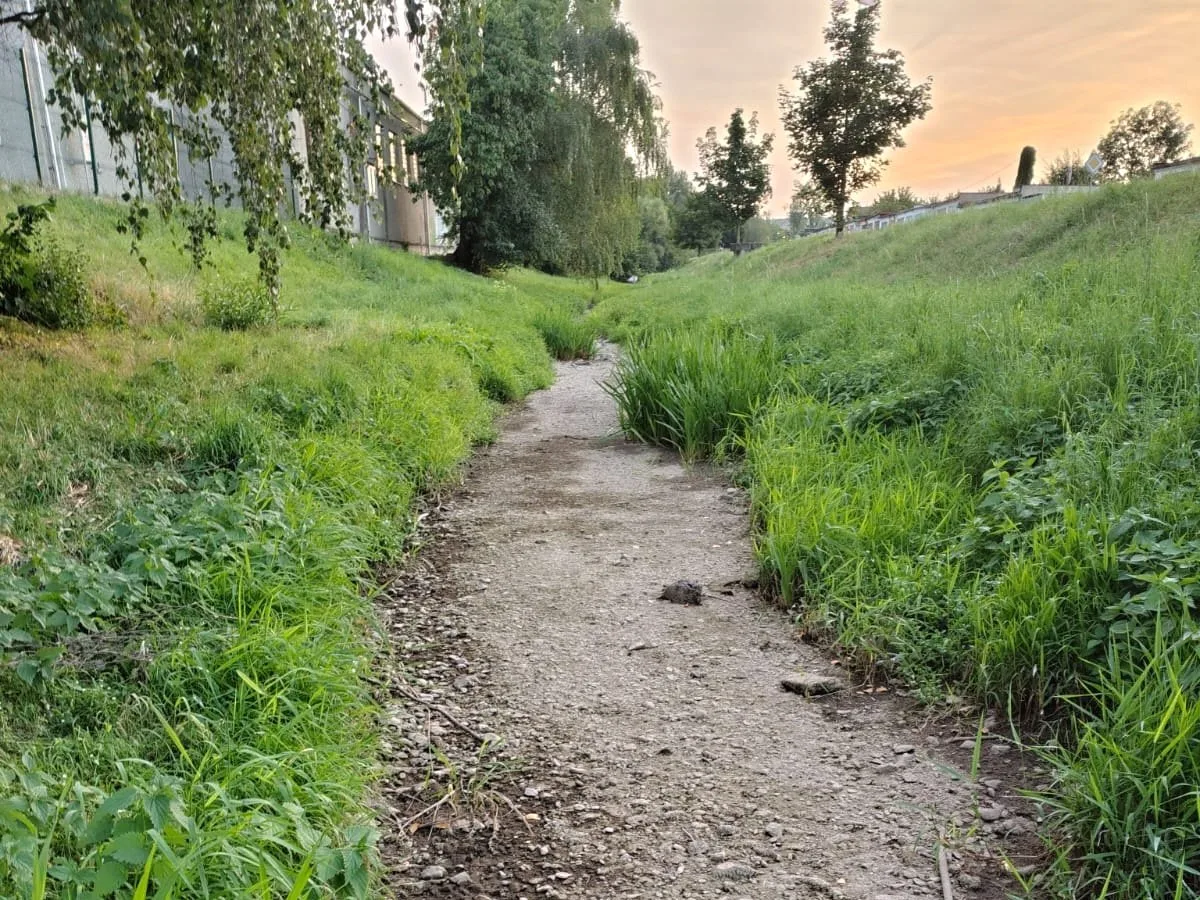 Sucho drtí Olomoucký kraj. Potoky vyschly, Morava má zlomek průtoku, trpí ryby