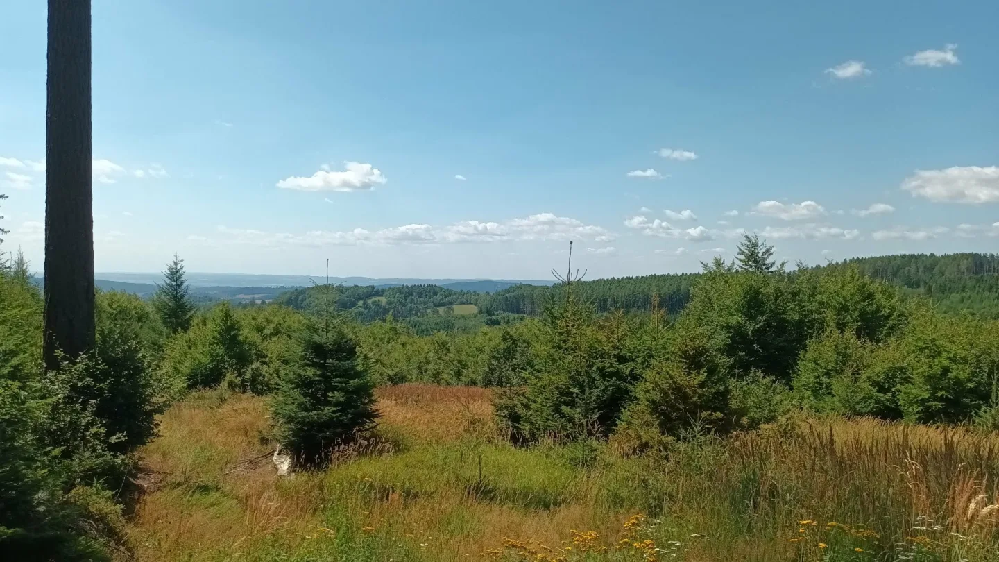TIP NA VÝLET: Šplhání po skalách, lesy a výhledy. Výlet na Kamenný vrch u Šumperka