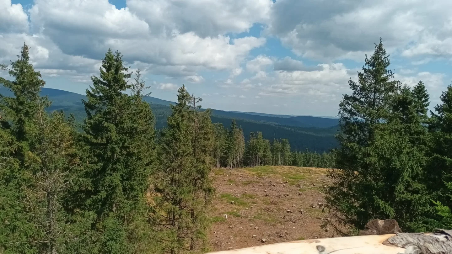 TIP NA VÝLET: Šplhání po skalách, lesy a výhledy. Výlet na Kamenný vrch u Šumperka