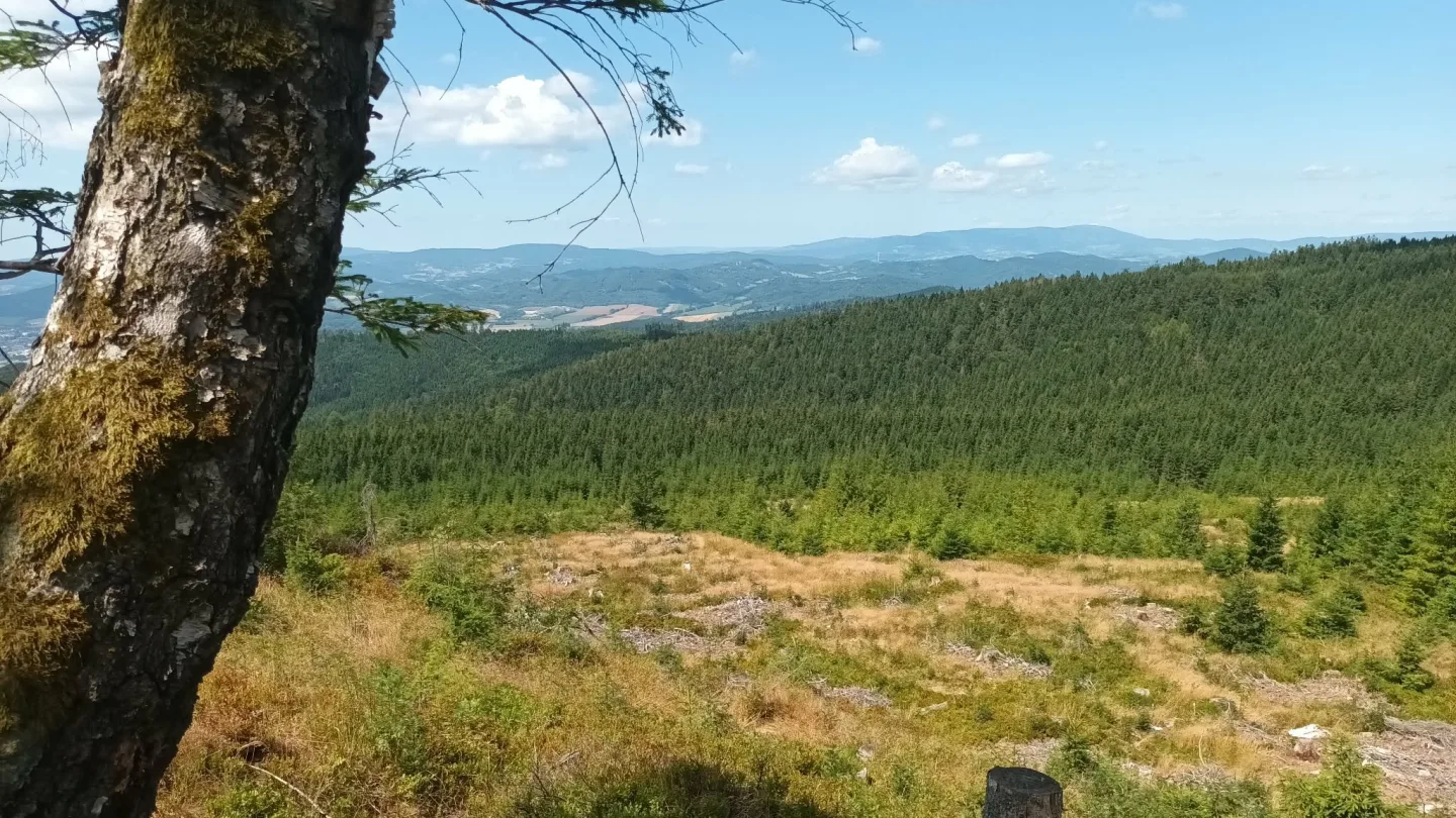 TIP NA VÝLET: Šplhání po skalách, lesy a výhledy. Výlet na Kamenný vrch u Šumperka