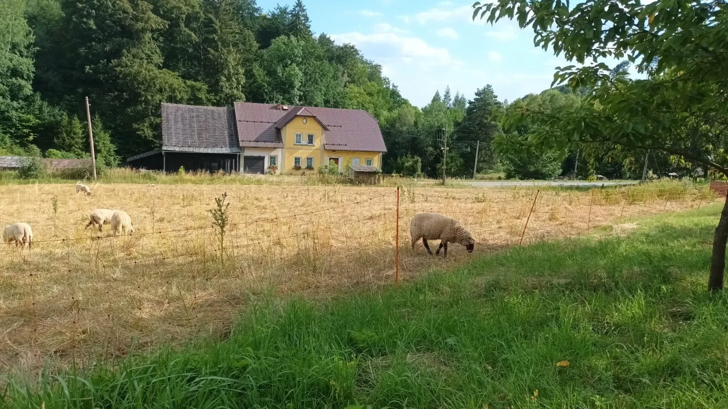 TIP NA VÝLET: Šplhání po skalách, lesy a výhledy. Výlet na Kamenný vrch u Šumperka