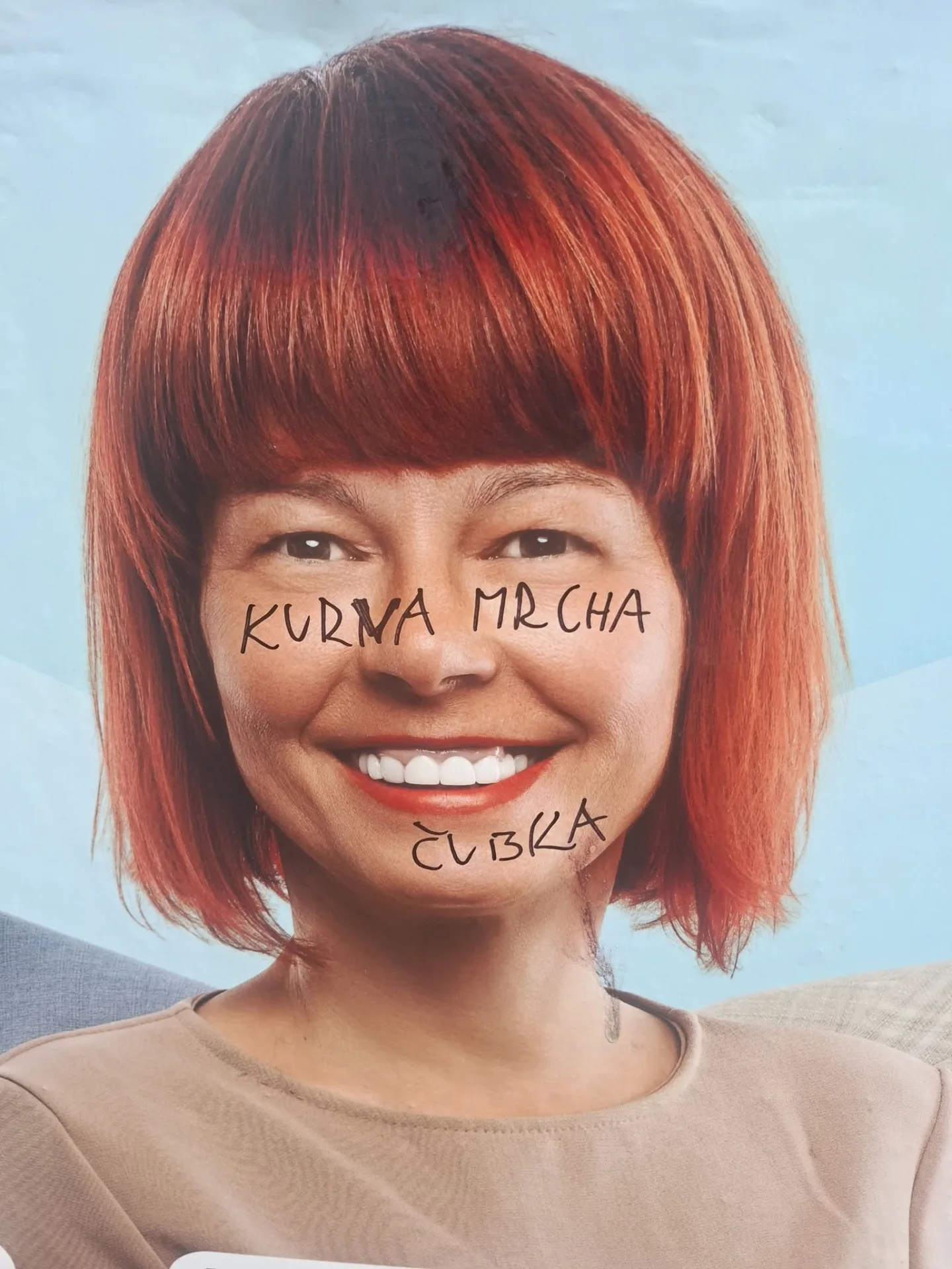 Vulgarity, výzvy k smrti, hákové kříže. Vandal ničil předvolební plakáty v Prostějově