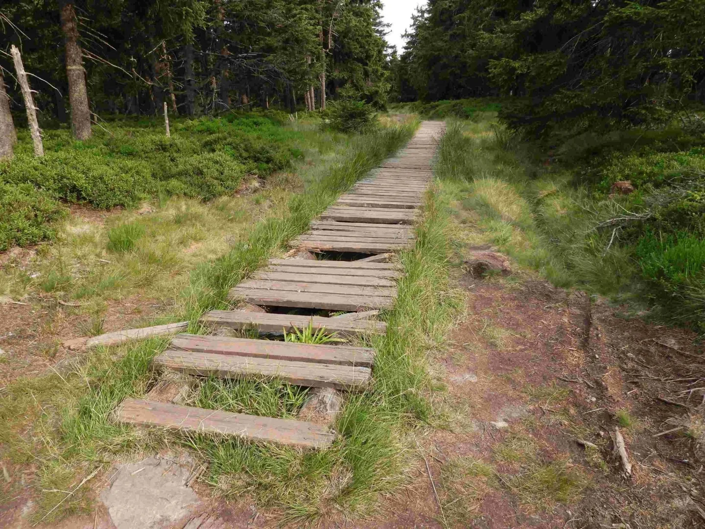 Keprník
