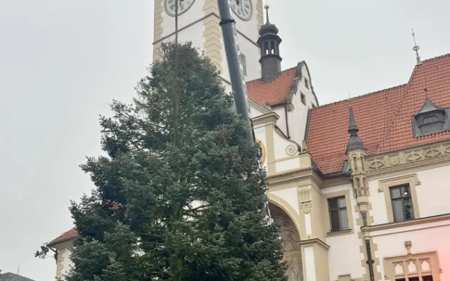 Rozsvícení vánočního stromu v Olomouci
