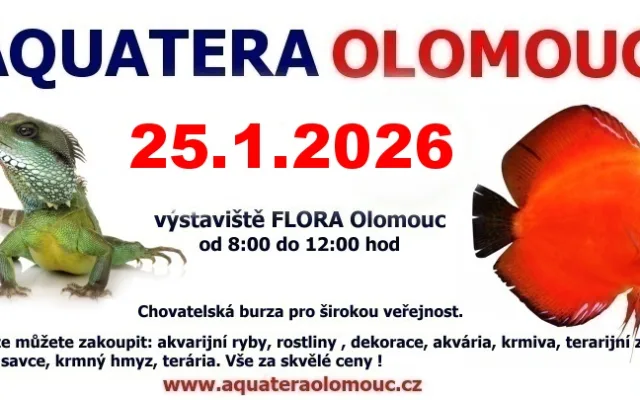 Aquatera Olomouc