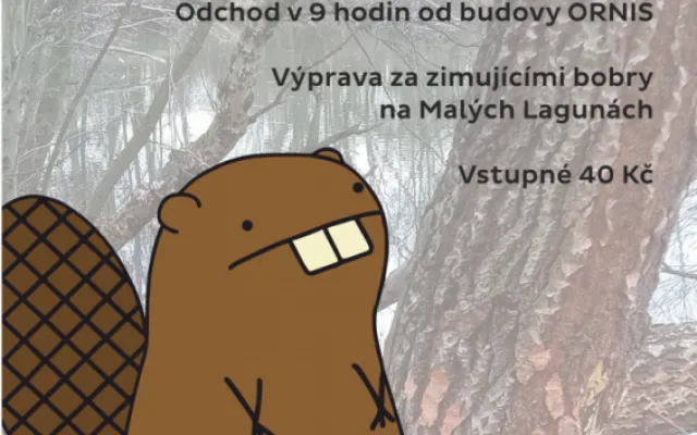 Návštěva u přerovských bobrů