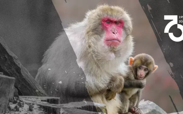 Oslavy 70. výročí založení Zoo Olomouc