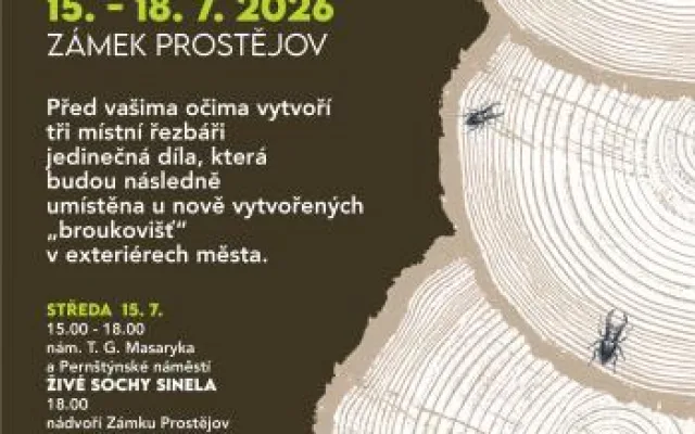 Prostějovské dřevosochání