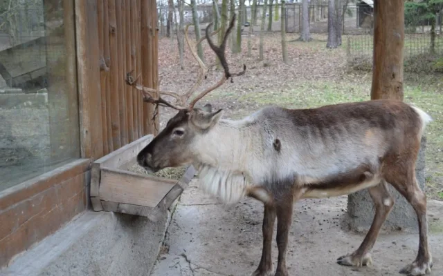 zoo4