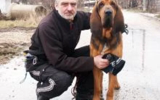 Pejsek Cassino a jeho pánzdroj: http://ibha.eu/nasi-psi