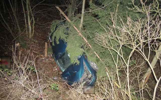 Řidička strhla řízení kvůli přebíhající zvěři, její auto se skutálelo ze strmého srázu