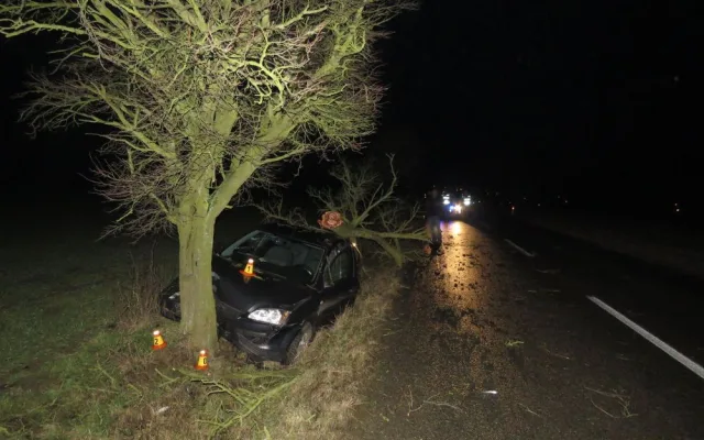 Opilý řidič nezvládl své auto, vyletěl s ním ze silnice a přerazil vzrostlý strom
