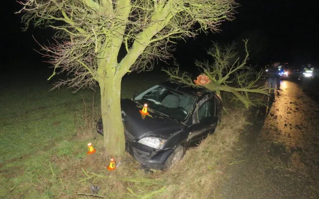 Opilý řidič nezvládl své auto, vyletěl s ním ze silnice a přerazil vzrostlý strom