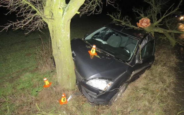Opilý řidič nezvládl své auto, vyletěl s ním ze silnice a přerazil vzrostlý strom